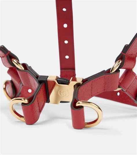 hundegeschirr gucci